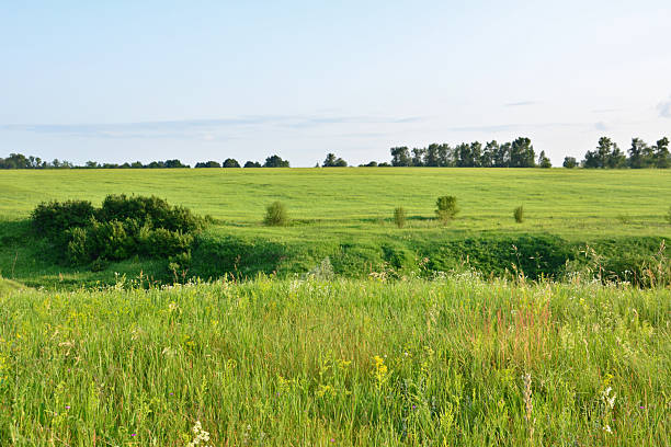 istock a Green Field in the valley Under a Clear Sky 2233357970