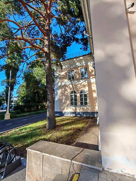 istock A side view of a classical structure with arched windows and textured surfaces, partially framed by a tall tree. The photo emphasizes the balance between built environments and green spaces. 2233362800