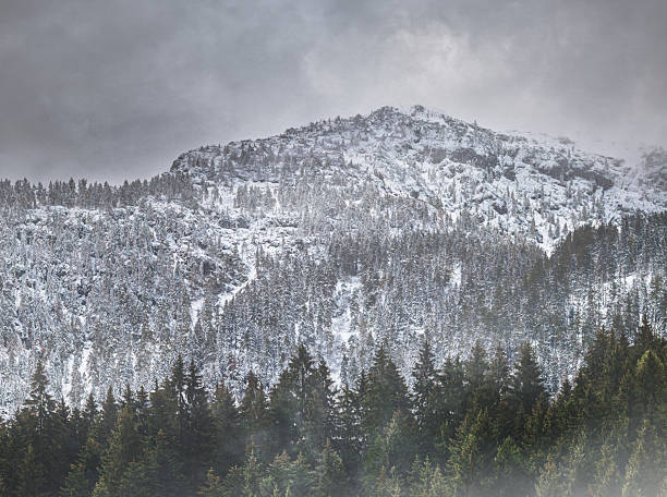 Majestic snow-covered mountain peaks rise dramatically above dense evergreen forest coverage while heavy clouds create moody atmospheric conditions that emphasize the raw power and beauty of alpine wilderness.