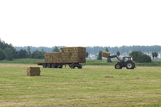istock a green field with a wagon with hay bales and a tractor 2233369996