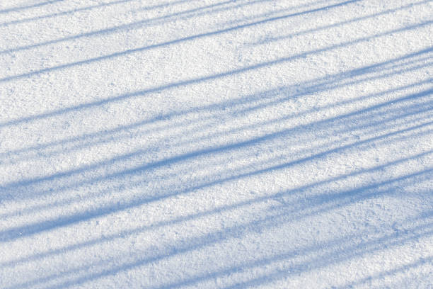 A serene snowy surface with elongated shadows cast by trees under bright sunlight, capturing the tranquility of a winter day. Natural photo background with selective soft focus