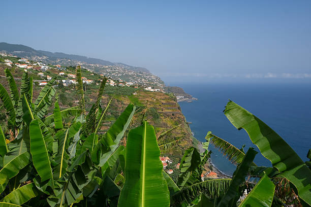 istock Dramatic landscape at the coastline of Madeira 2233376708