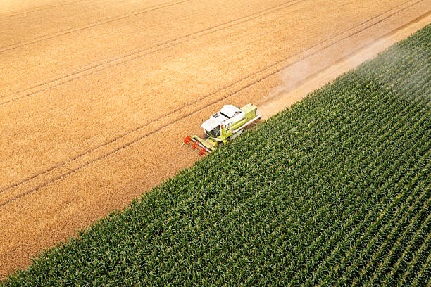 istock Combine harvester in a wheat field 2233386478