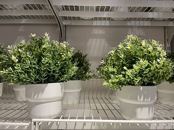 Artificial Green Potted Plants in White Pots on Display Shelf