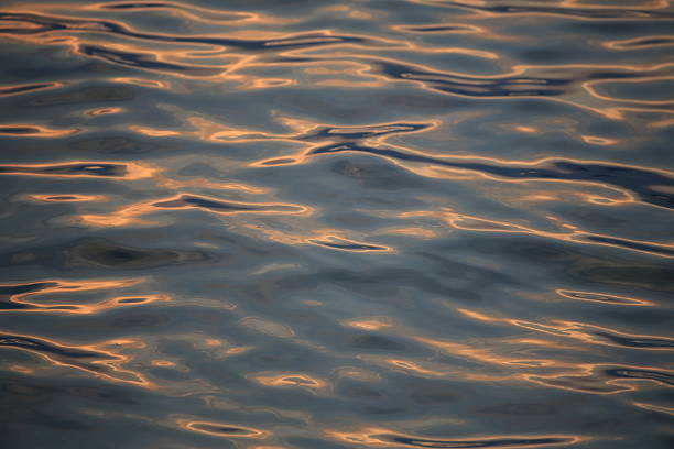 Gold waves before sunset on lake Balaton