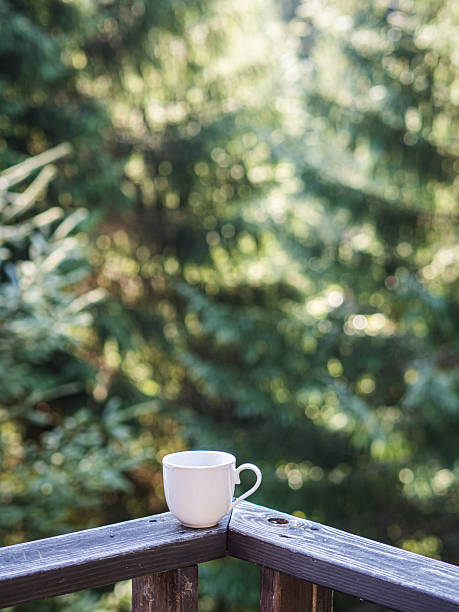 istock Morning coffee in the pine forest 2233390573