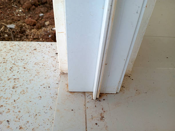 istock Close Up of Door Frame with Dust and Dirt 2233396866
