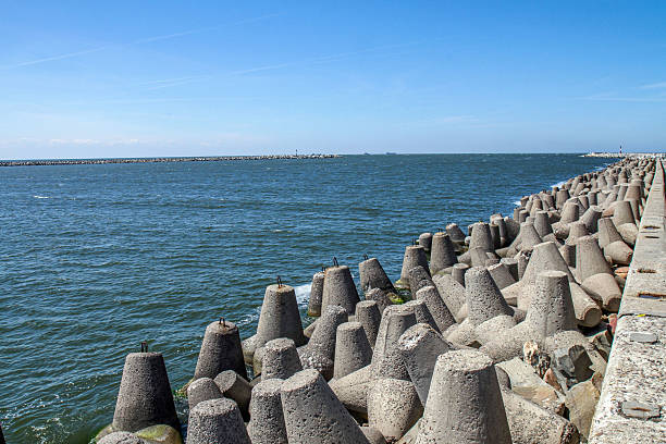 Concrete four-legged breakwaters protecting the Baltic Sea coast from waves. Seascape with calm water, horizon and marine engineering.