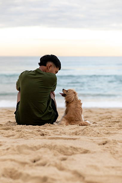 istock Companionship at the Beach 2233406153