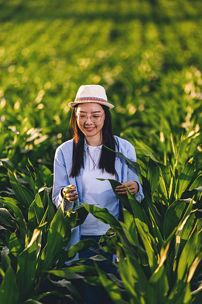 istock Thai woman inspecting corn growth in field 2233407538