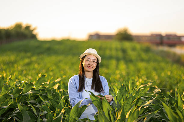 istock Thai woman inspecting corn growth in field 2233407572