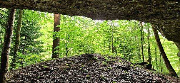A panoramic view from inside the Istállós Rock Cave looking out toward the sunlit forest of the Szalajka Valley near Szilvásvárad. The rugged rock formations and natural light create a sense of mystery and exploration.