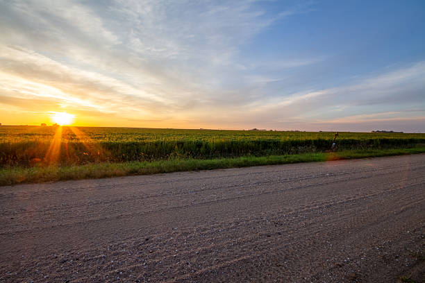 istock Gravel and Soybeans Dawn 2233412322