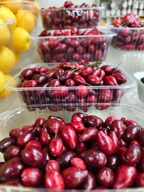 Ripe, red dogwood berries
