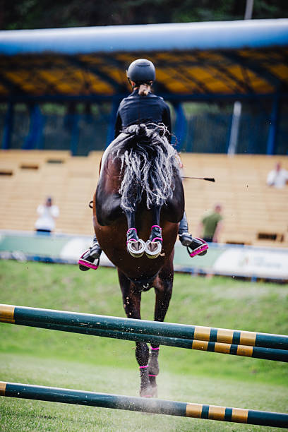 A rider on horseback jumps powerfully over a hurdle made of parallel bars - show jumping competition