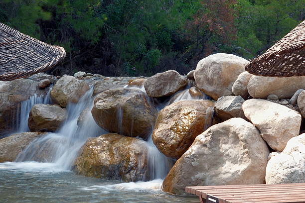 Beautifully designed and landscaped backyard waterfall and pond.