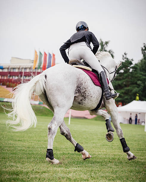 Equestrian sport - show jumping (young woman and sorrel stallion) on nature background