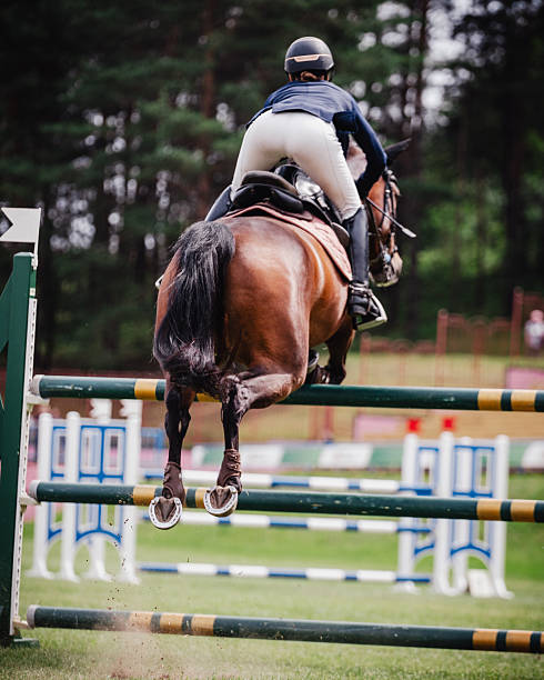 istock A rider on horseback jumps over a hurdle 2233418731