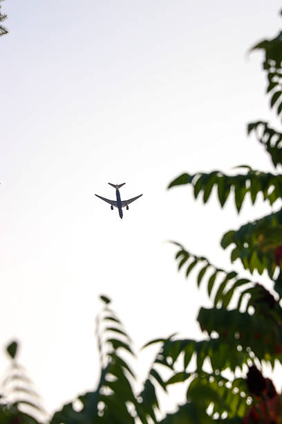 istock Airplane flying in the sky framed by tree leaves 2233426828