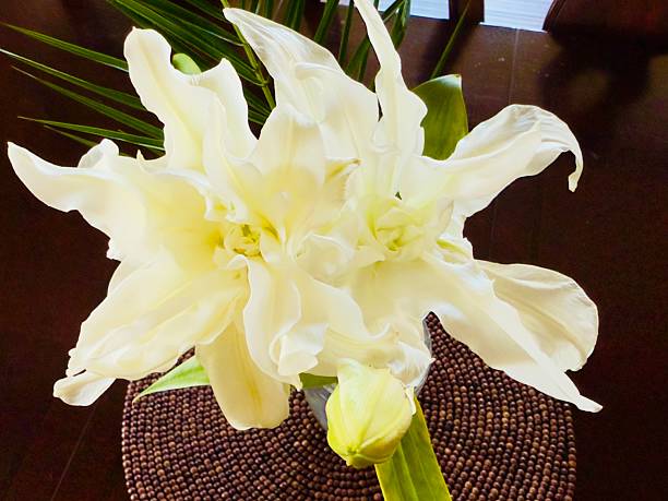 There is a vase with one branch of lily flower on the brown wood table. This flower is unique because of the way the flower bloomed. Has a defect—flower in the flower, but looks amazing and beautiful. Teaches us a lesson even though we have a defect we can still be beautifully seen in the eyes of others. Located in Corona, California.