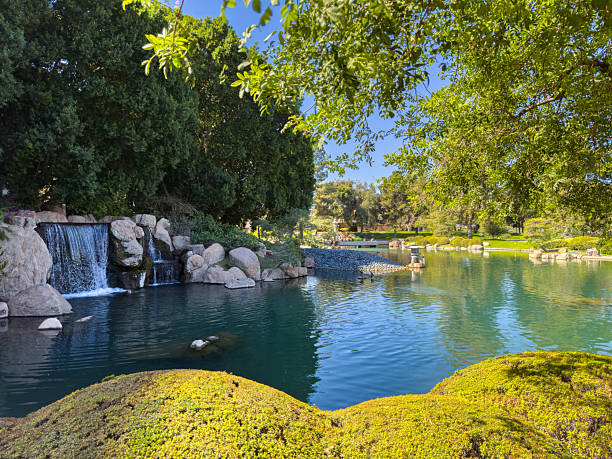 istock Serene Garden Pond with Waterfall and Greenery 2233428572