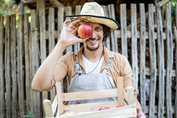 A cheerful farmer wearing an apron and hat holds a crate of apples while posing humorously. This rustic scene showcases harvesting, farming, and nature in a charming, engaging visual style.