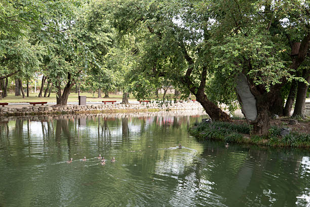 istock A quiet lake and palace on a rainy day 2233430353