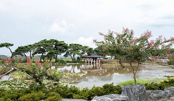 A small pond with a country pavilion (September 2, 2025, Hampyeong Wongokje, Hampyeong-gun, Jeollanam-do, South Korea)