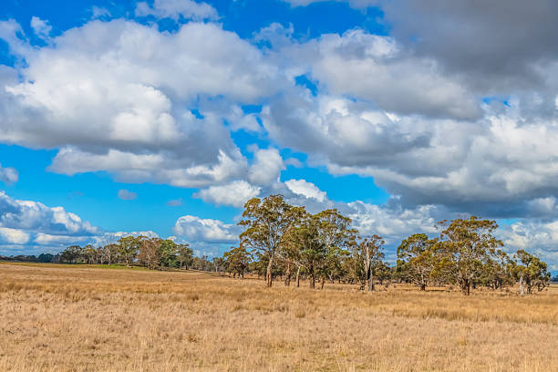 istock Clouds and a Winter sky over rural land 2233437227