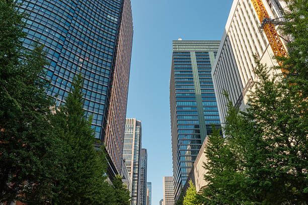istock Tokyo's business district. 2233439274
