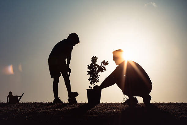 Father and son plant a tree, silhouette against a beautiful sunset, symbolizing growth, unity, and care for nature, caring for environmental and family themes