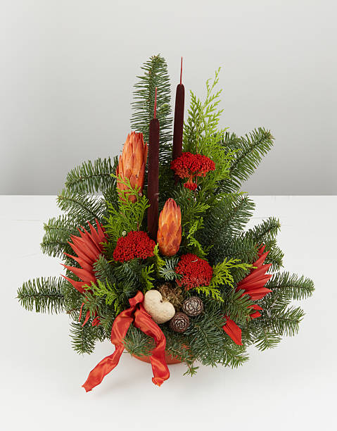 istock Christmas pine cone wreath isolated nature background with clipping path 2233442700