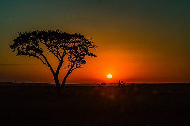 istock Sunset in the country 2233451454