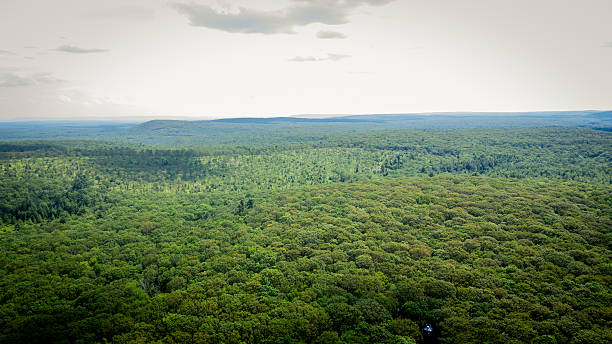 Promised Land State Park Beautiful Drone Views