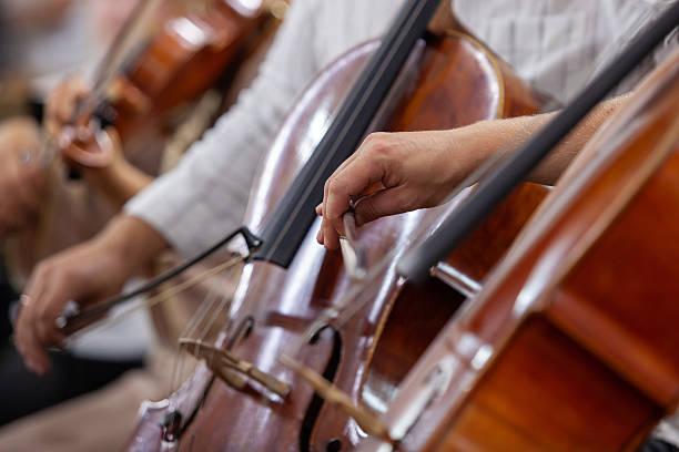 istock Musicians in an orchestra 2233459458