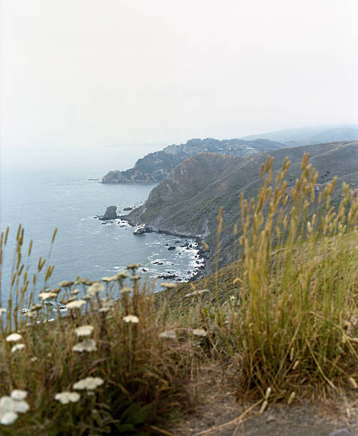 istock Rocky Pacific Coast on an Overcast Day 2233460972