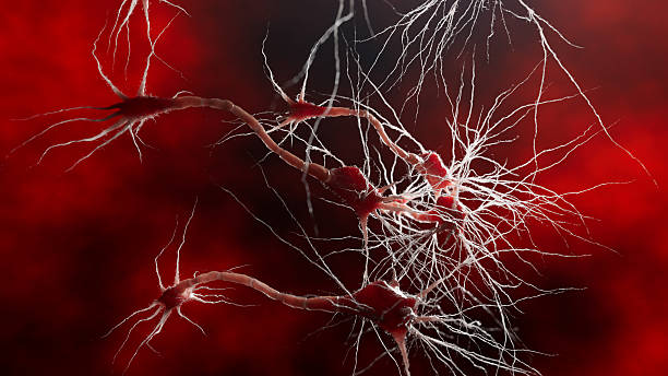 A digital illustration captures the firing of neurons across a complex biological system. The scene symbolizes the intricate nature of human thought and emotion.
