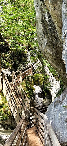 istock hiking way in Tyrolean Alps 2233463801