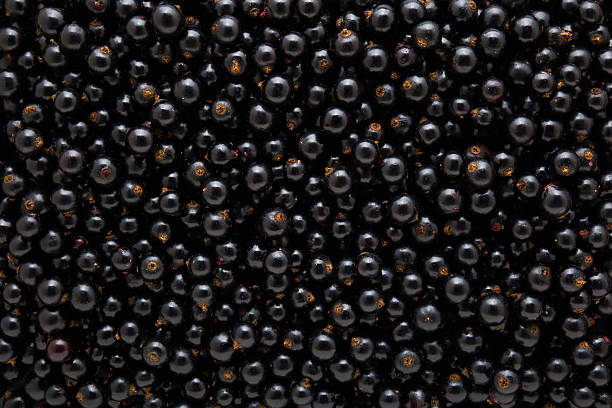 Black currant background. Fresh berries. Closeup. Top down view.