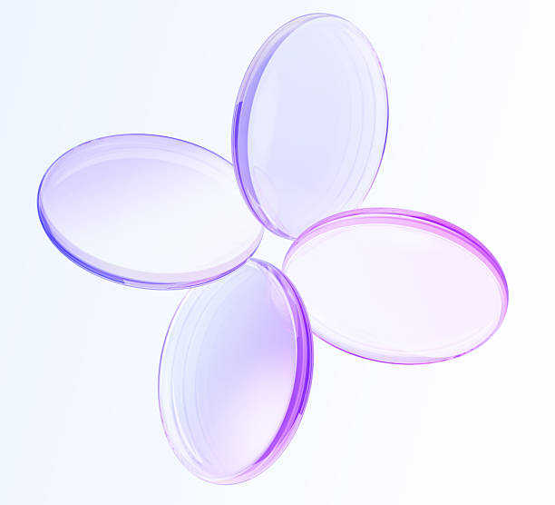 istock 3d crystal glass holographic round disks with circular motion effect. Iridescent transparent lens in flower shape. Circle discs with purple pink gradient, isolated decor element 2233471537