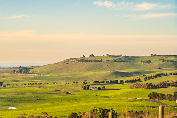istock Rolling rural landscape against blue sky on a sunny day 2233473062
