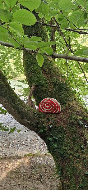 istock in nature - forest bathing in mountains 2233473129