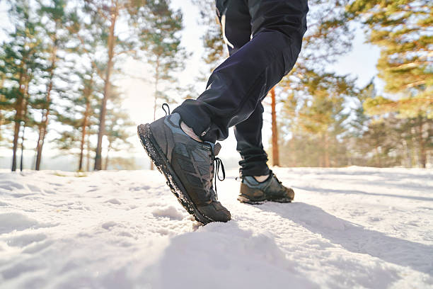 istock Man trailwalk  in winter park 2233475562