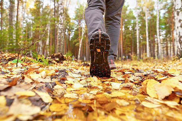 istock mens foot steps on autumn trail 2233475568