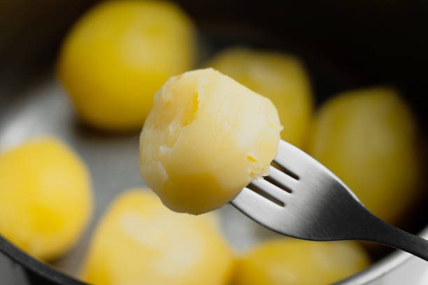 Whole peeled boiled potato on steel fork against background of saucepan with cooked tubers