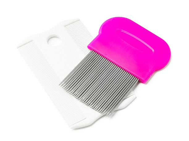 istock Colorful plastic and metal combs on a white background 2233478326