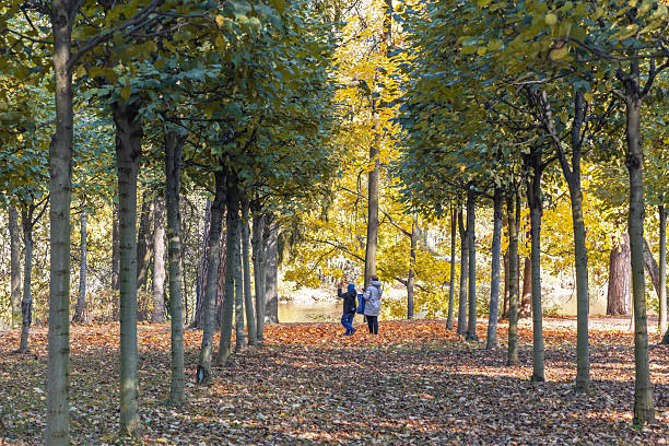 Mother with a baby in stroller walking in forest