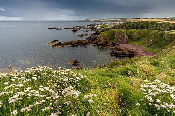 istock St Abb's Rocky coastline Scotland 2233481545