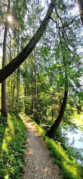 istock in nature - hiking way - Taubensee in Bavaria 2233481618