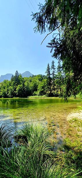 istock in nature - Taubensee in Bavaria 2233481642